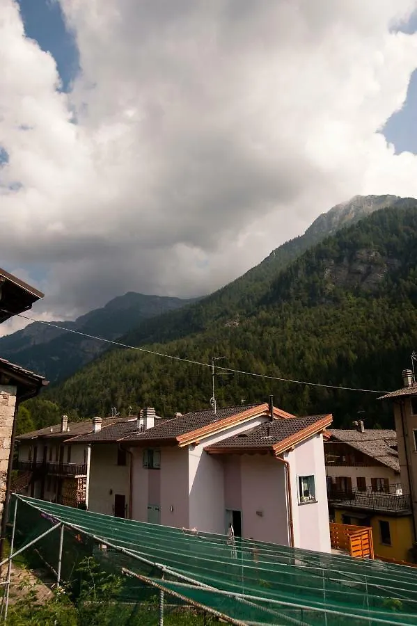 Bed and Breakfast Il Bosco dei 100 Acri Roncobello 0*,  Italia